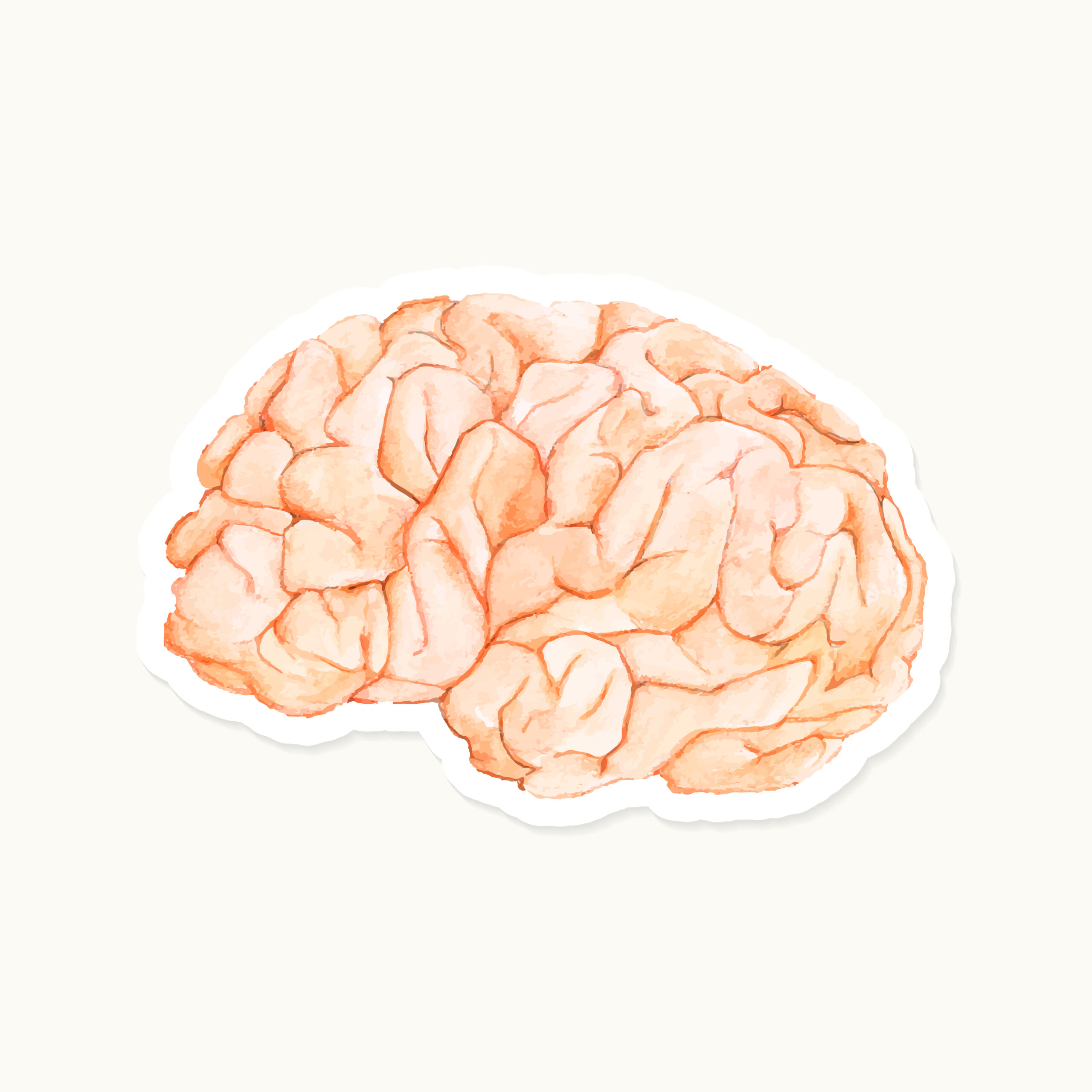 Mozak