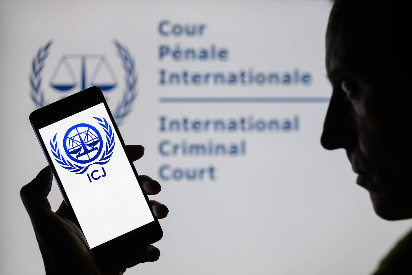 The International Court of Justice (ICJ) / Međunarodni sud pravde